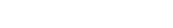 Hyundai Trajet