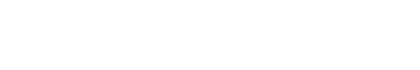 Renault Mgane