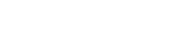 Hyundai Satellite