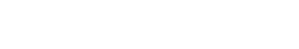 Nissan Primra
